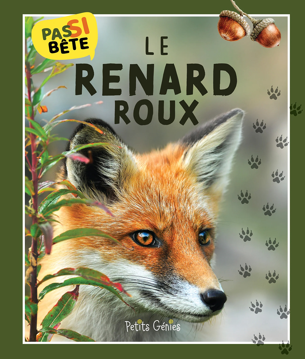Pas si bête – Le renard roux