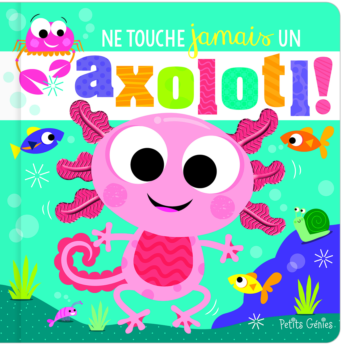 Ne touche jamais un axolotl!