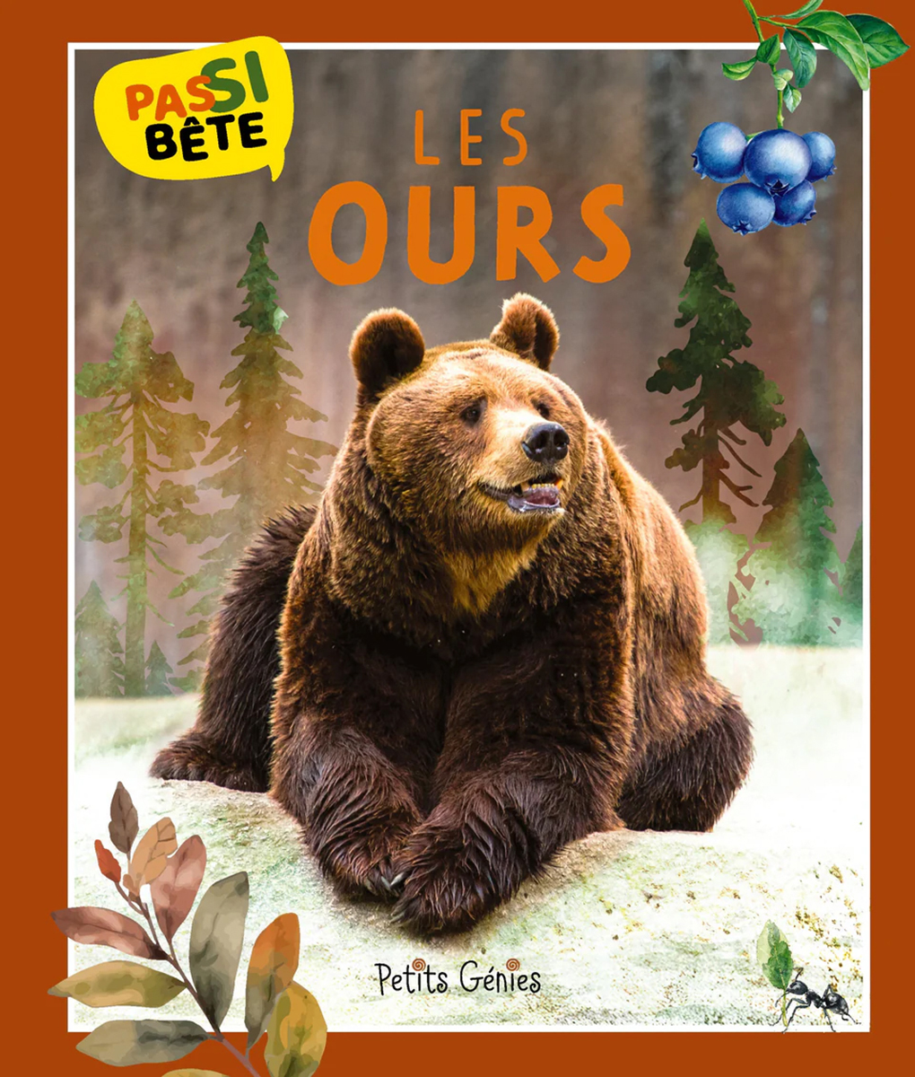 Pas si bête : Les ours