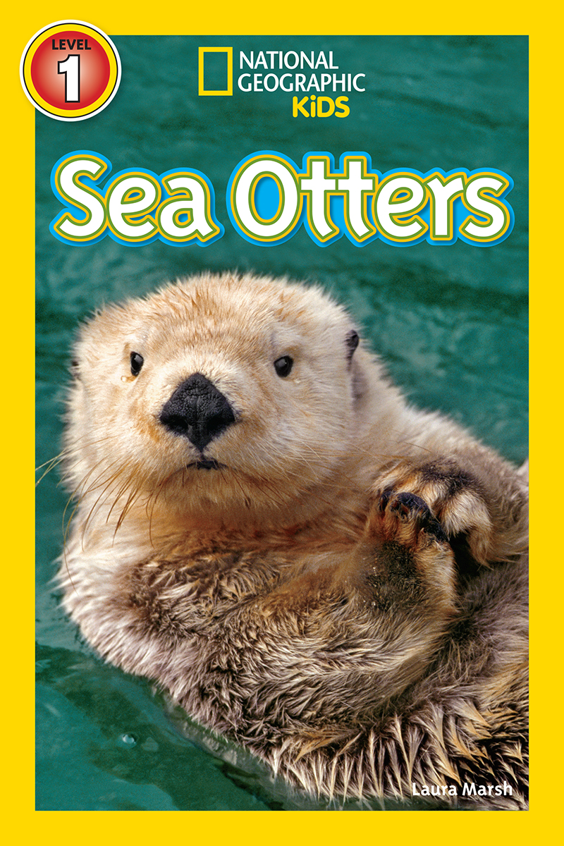 National Geographic Kids Reader: Sea Otters