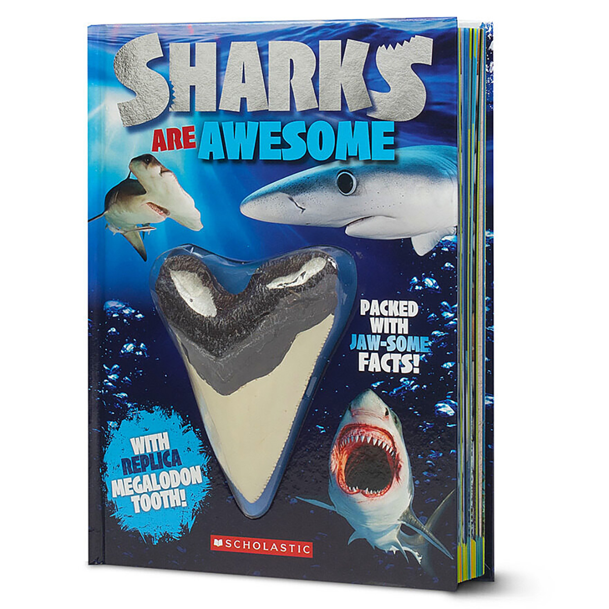 Sharks Are Awesome with Megalodon Tooth
